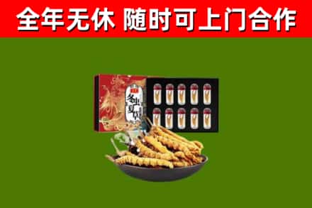 吉隆县回收冬虫夏草价格